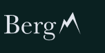 Berg Search logo